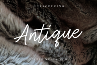 Antique Typeface Review: A Classy Monoline Script for Modern Branding