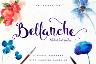 Bellanche: A Designer’s Honest Review of This Display Typeface