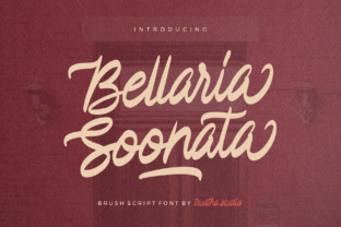 Bellaria Soonata: A Creative Script Font for Brand Identity
