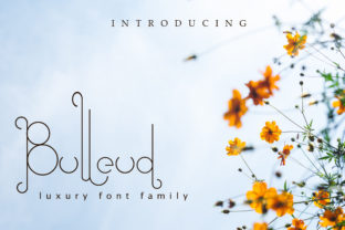 Bulleud: The Modern Script Typeface for Elevated Editorial Design