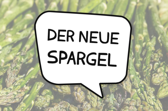 Der Neue Spargel: A Designer’s Verdict on This Script Amp