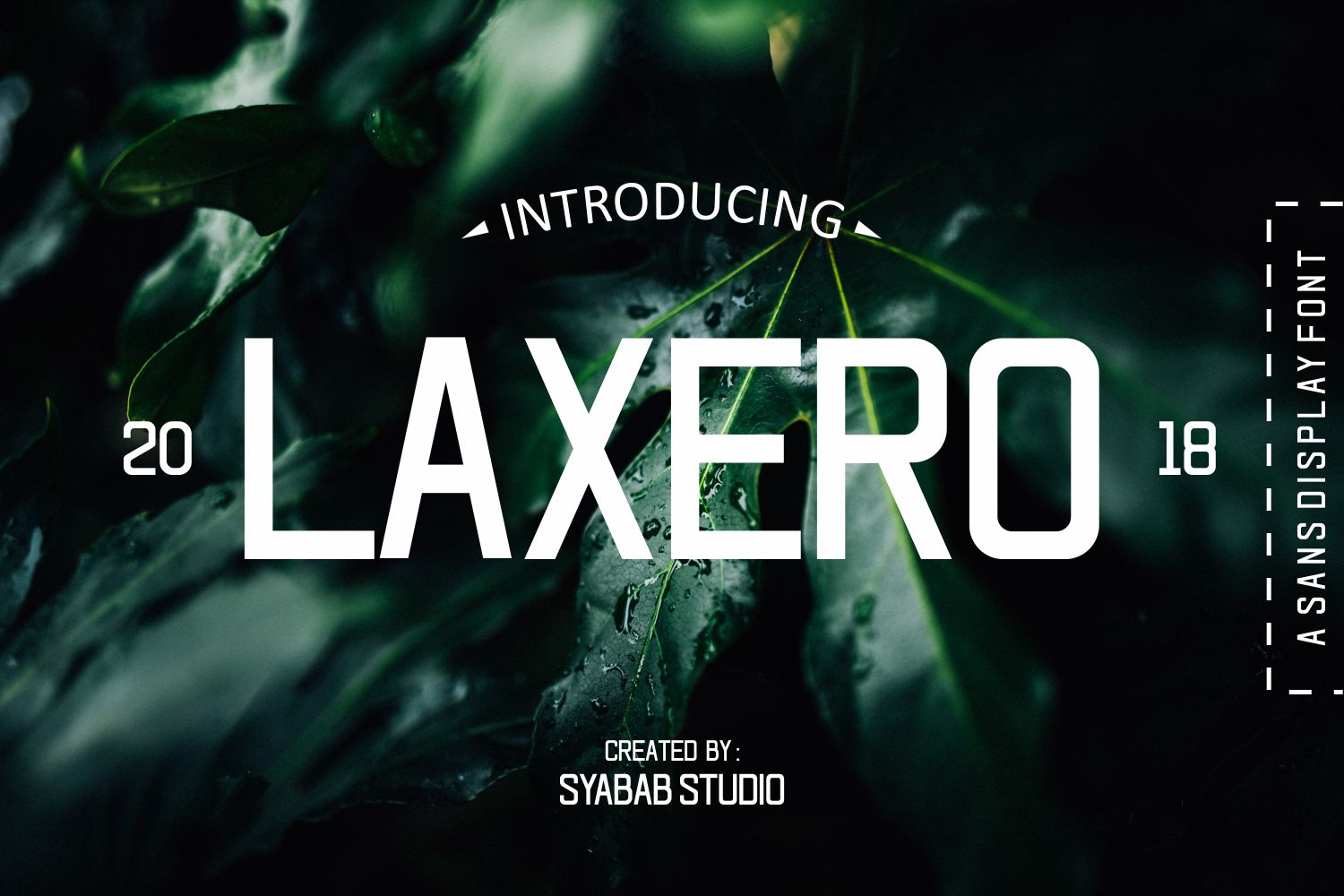 Laxero Typeface Review: A Bold Script for Modern Brand Identity