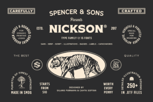 Nickson Typeface Review: A Stunning Display Font for Digital Branding