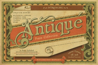 Renaissance Garden: A Serif Typeface for Editorial Design